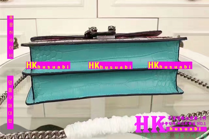 ���� ����� �Ż� G170225-17