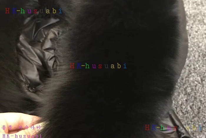NEW ��Ŭ���� �������е� M 658011